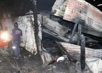 Menteşe Karabağlar yaylasında yangın