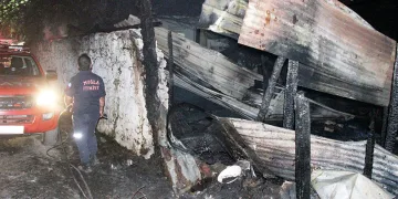 Menteşe Karabağlar yaylasında yangın