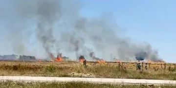 Buğday tarlası kül oldu