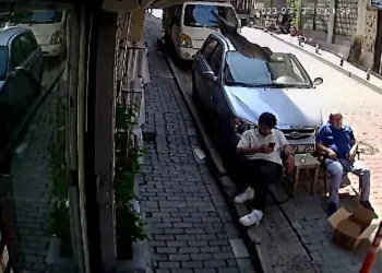 İkinci kattan üzerine kedi düştü