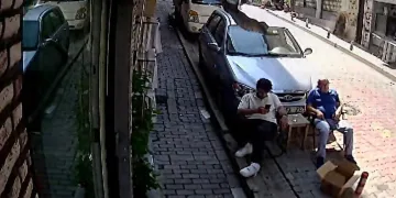 İkinci kattan üzerine kedi düştü