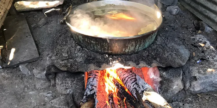 Dut pekmezi geleneksel yöntemlerle hazırlanıyor