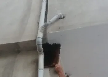 Binlerce arı firar etti