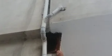 Binlerce arı firar etti