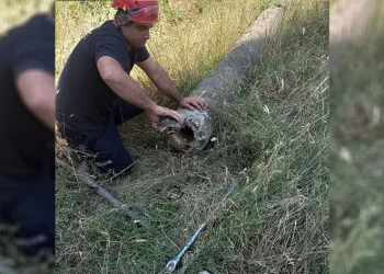 Boru içinde mahsur kalan kaplumbağa kurtarıldı
