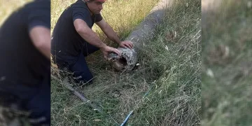 Boru içinde mahsur kalan kaplumbağa kurtarıldı