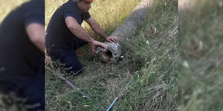 Boru içinde mahsur kalan kaplumbağa kurtarıldı