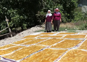 Karnavas dut pestili yapımı başladı