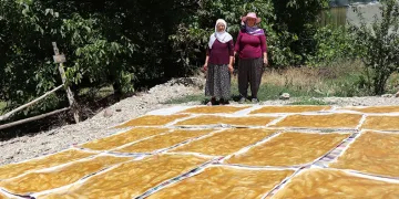 Karnavas dut pestili yapımı başladı