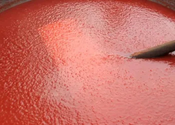 Selçuk’ta salça zamanı geldi