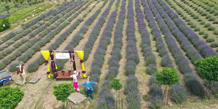 Tıbbi aromatik bahçe doğaseverleri ağırlıyor