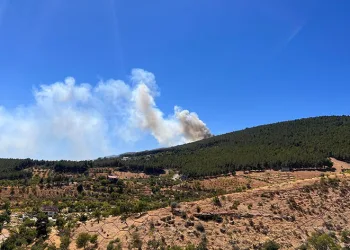Ahir dağında orman yangını