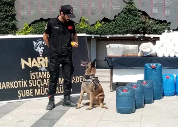 849 kilo uyuşturucu yakalandı