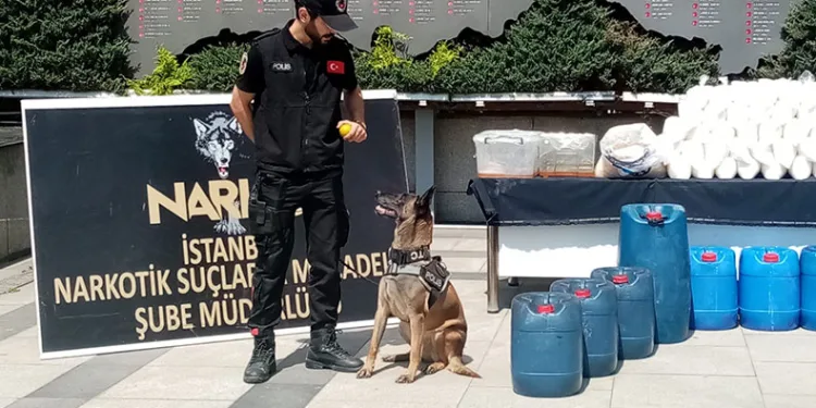 849 kilo uyuşturucu yakalandı