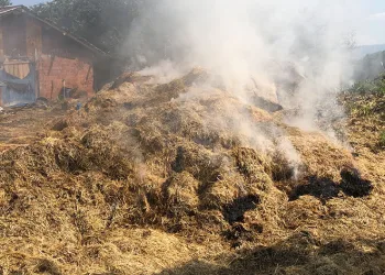 10 ton saman kül oldu