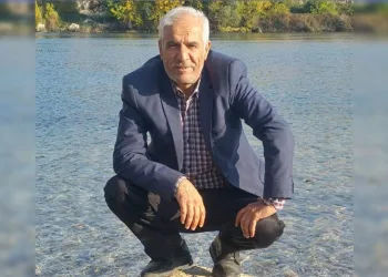 Arının soktuğu adam hayatını kaybetti