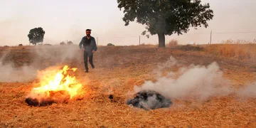 Orman yangınları fotoğraf karelerinde