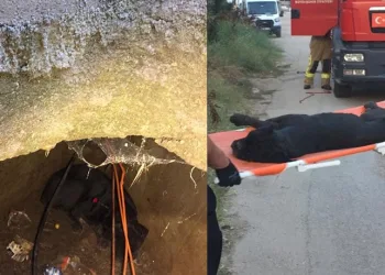 1 saatlik çalışma sonucu kuyudan kurtarıldı