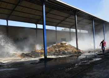 Hayvan çiftliğindeki yangını korkuttu
