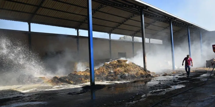 Hayvan çiftliğindeki yangını korkuttu