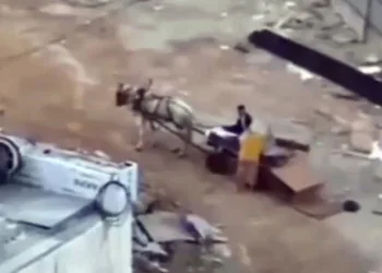 At arabası ile inşaattan hırsızlık yaptılar