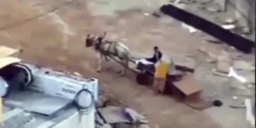 At arabası ile inşaattan hırsızlık yaptılar
