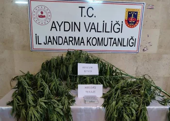 Aydın’da uyuşturucu operasyonu