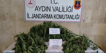 Aydın’da uyuşturucu operasyonu