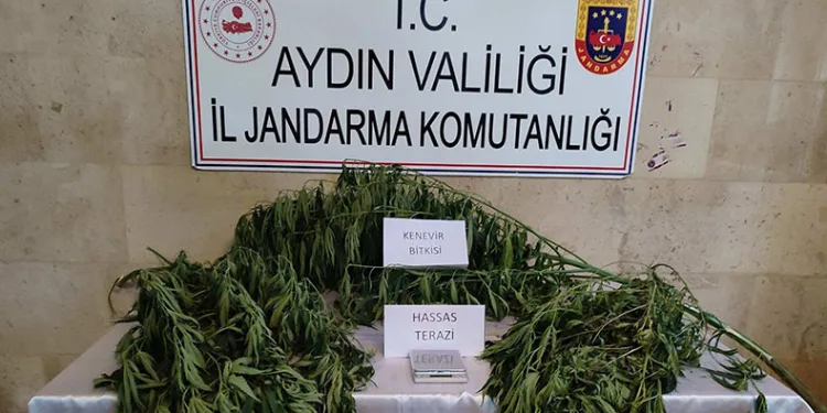 Aydın’da uyuşturucu operasyonu
