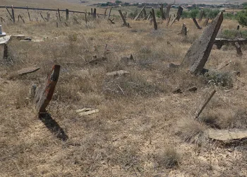Merak uyandıran şahideler