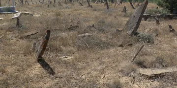 Merak uyandıran şahideler