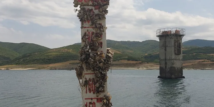 2 ilçe diken üzerinde