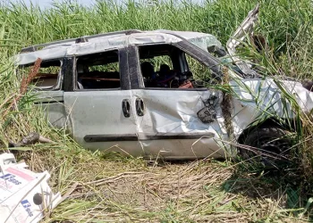 Bursa’da köpeğe çarpan araç bariyerlere uçtu