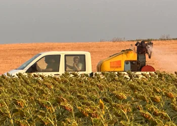 Çekirge istilasına karşı ilaçlama