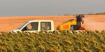 Çekirge istilasına karşı ilaçlama