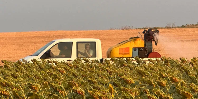 Çekirge istilasına karşı ilaçlama