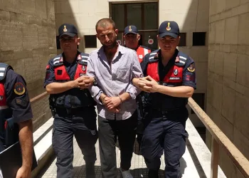 Ormanı ateşe veren şahıs tutuklandı