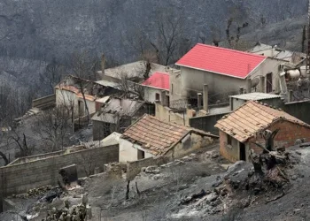 Orman yangınlarında en az 40 kişi hayatını kaybetti