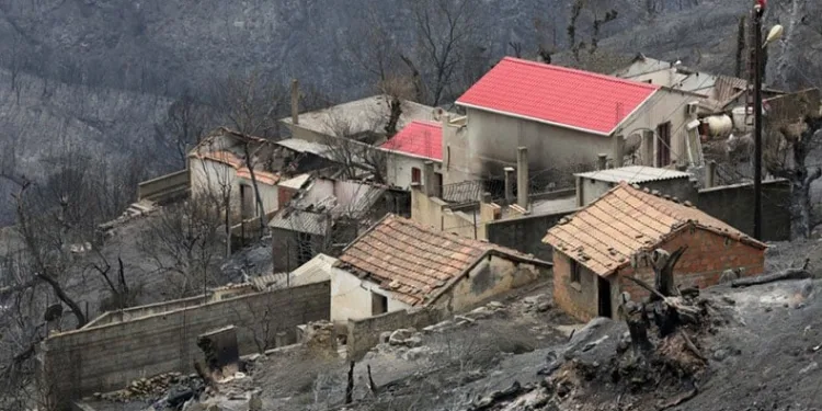 Orman yangınlarında en az 40 kişi hayatını kaybetti