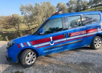 Kaçak kazı yaparken jandarmaya yakalandılar