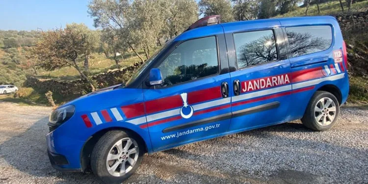 Kaçak kazı yaparken jandarmaya yakalandılar