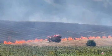 Ormanlık alandaki alevler rüzgarın etkisiyle büyüyor