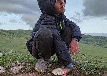 Yağışların ardından “mantar” bereketi