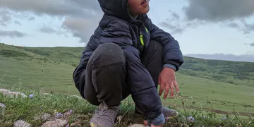 Yağışların ardından “mantar” bereketi