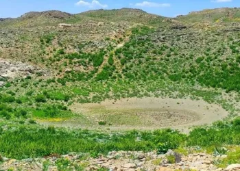 Yaban hayvanlarının can suyu kurudu