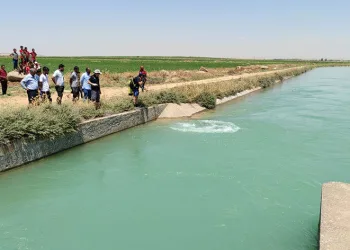 Otomobil sulama kanalına devrildi