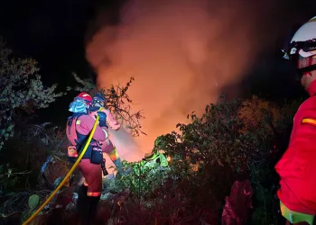 La Palma Adası’nda yangın
