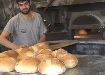 Kavurucu sıcaklar en çok onları etkiliyor