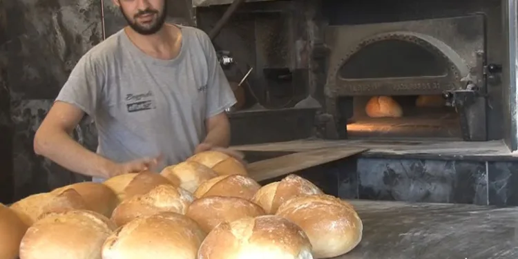 Kavurucu sıcaklar en çok onları etkiliyor