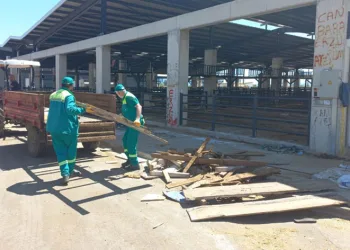 Kurban Satış Yerleri Kaldırıldı